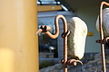 DSC01548 - Bernhard Saalfeld
