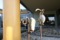 DSC01549 - Bernhard Saalfeld