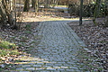 DSC01553 - Bernhard Saalfeld