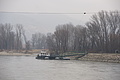 DSC01642 - Bernhard Saalfeld
