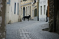 DSC01708 - Bernhard Saalfeld