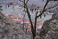 DSC01734 - Bernhard Saalfeld
