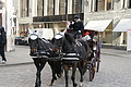 DSC01826 - Bernhard Saalfeld