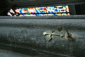 DSC01879 - Bernhard Saalfeld