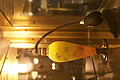DSC01907 - Bernhard Saalfeld