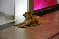 DSC01925 - Bernhard Saalfeld