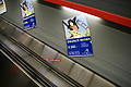 DSC01929 - Bernhard Saalfeld