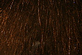 DSC02239 - Bernhard Saalfeld