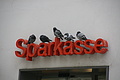 DSC02357 - Bernhard Saalfeld