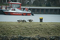 DSC02389 - Bernhard Saalfeld