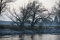 DSC02402 - Bernhard Saalfeld