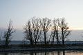 DSC02403 - Bernhard Saalfeld