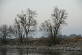 DSC02404 - Bernhard Saalfeld