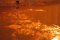 DSC02479 - Bernhard Saalfeld