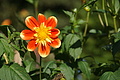DSC08124 - Bernhard Saalfeld