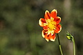 DSC08126 - Bernhard Saalfeld