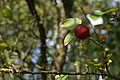 DSC08131 - Bernhard Saalfeld