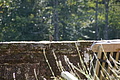 DSC08134 - Bernhard Saalfeld