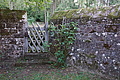 DSC08137 - Bernhard Saalfeld