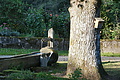 DSC08143 - Bernhard Saalfeld
