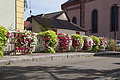 DSC08197 - Bernhard Saalfeld
