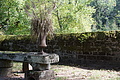 DSC08203 - Bernhard Saalfeld