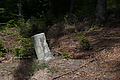 DSC08207 - Bernhard Saalfeld