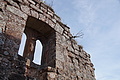 DSC08228 - Bernhard Saalfeld