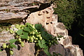 DSC08229 - Bernhard Saalfeld