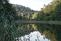 DSC08243 - Bernhard Saalfeld