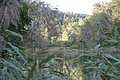 DSC08247 - Bernhard Saalfeld