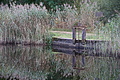 DSC08248 - Bernhard Saalfeld