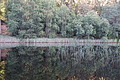 DSC08249 - Bernhard Saalfeld