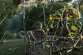 DSC08253 - Bernhard Saalfeld