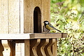 DSC08284 - Bernhard Saalfeld