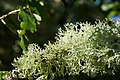 DSC08300 - Bernhard Saalfeld