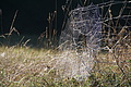 DSC08302 - Bernhard Saalfeld