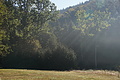 DSC08304 - Bernhard Saalfeld