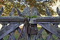 DSC08312 - Bernhard Saalfeld