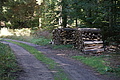DSC08315 - Bernhard Saalfeld