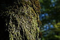 DSC08317 - Bernhard Saalfeld