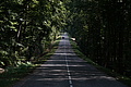 DSC08318 - Bernhard Saalfeld