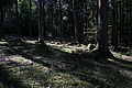 DSC08320 - Bernhard Saalfeld