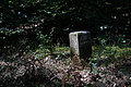 DSC08321 - Bernhard Saalfeld