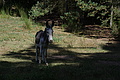DSC08322 - Bernhard Saalfeld