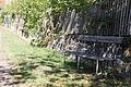 DSC08323 - Bernhard Saalfeld