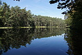 DSC08326 - Bernhard Saalfeld