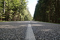 DSC08327 - Bernhard Saalfeld