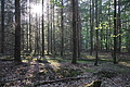 DSC08339 - Bernhard Saalfeld