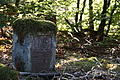 DSC08342 - Bernhard Saalfeld